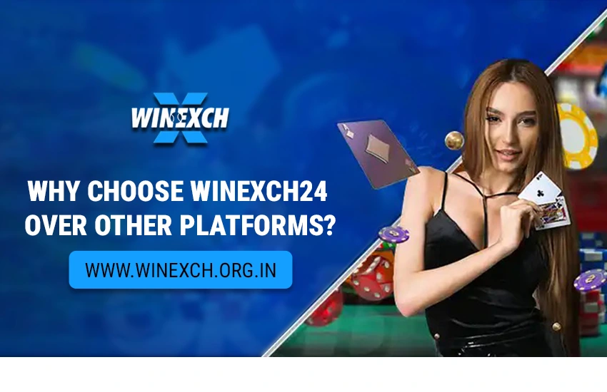 Why Choose Winexch24 Over Other Platforms