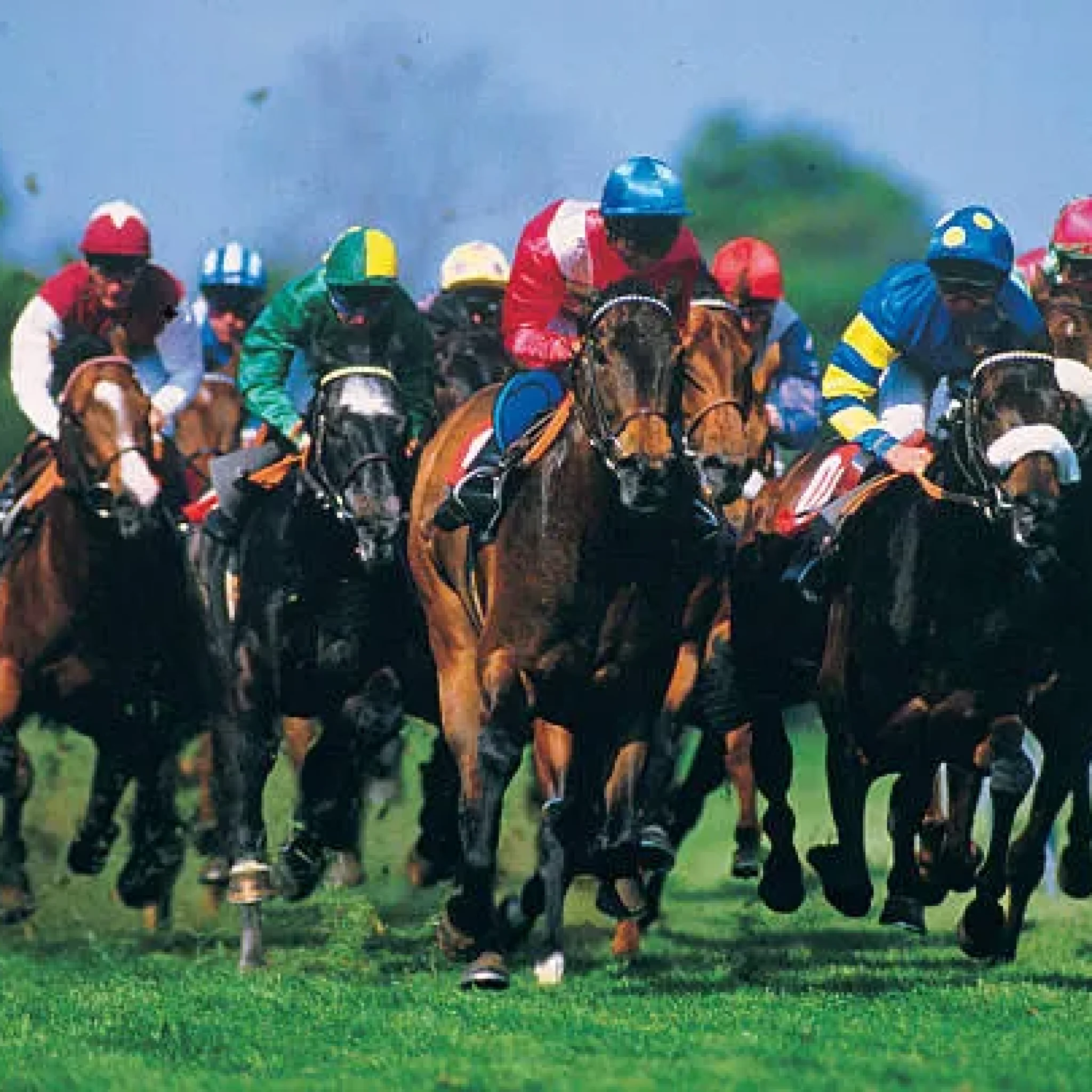 horse-racing.webp horse-racing.webp